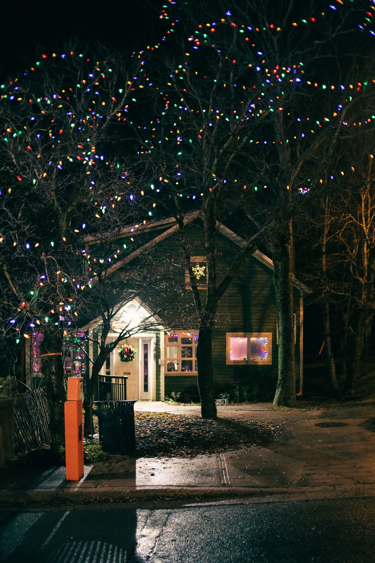 Multicolor C9 light strands woven through bare tree branches above a house entry at night